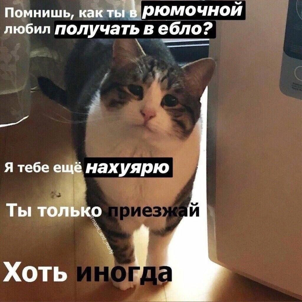 Помнишь, как ты рюмочной любил получать в ебло? Я тебе ещё нахуярю Ты только Хоть