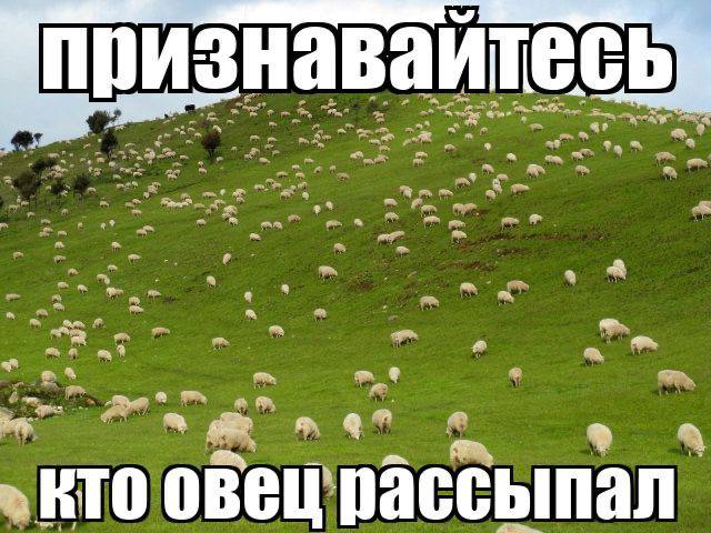 при да a a »KTO овец рассыпал