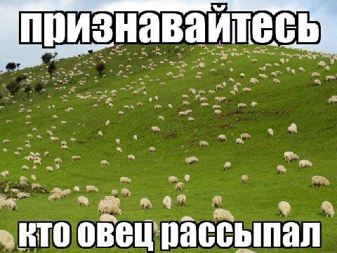при да a a »KTO овец рассыпал