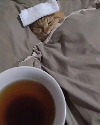 у a и