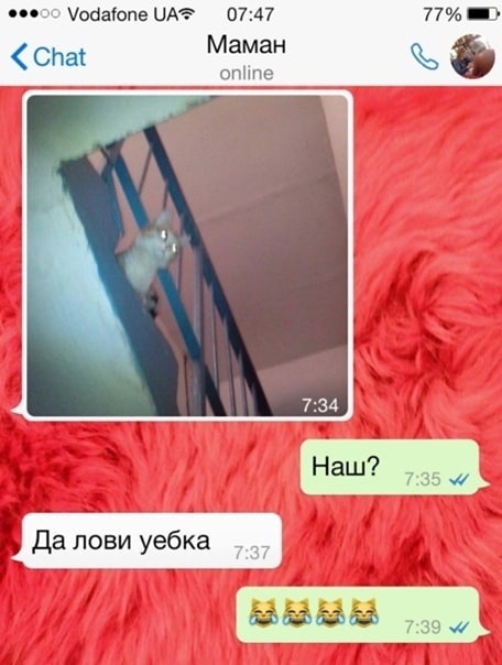 Vodafone 07:47 77% Маман Chat online 7:34 Haw? 7:35 Да лови уебка