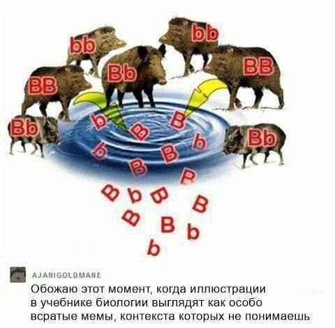 mab {5) о. 8 AJANIGOLDMAHE Обожаю этот момент, когда иллюстрации в учебнике биологии выглядят как особо всратые мемы, контекста которых не понимаешь