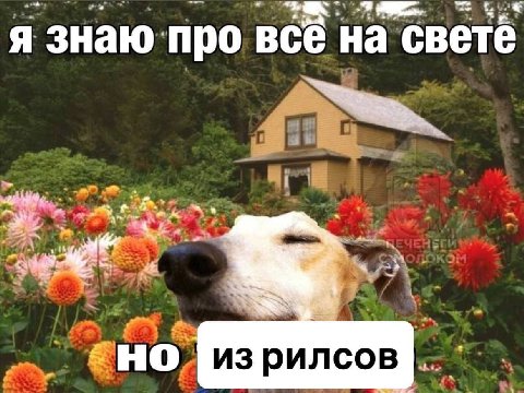Я знаю про все на светё 4 4 AS из рилсов