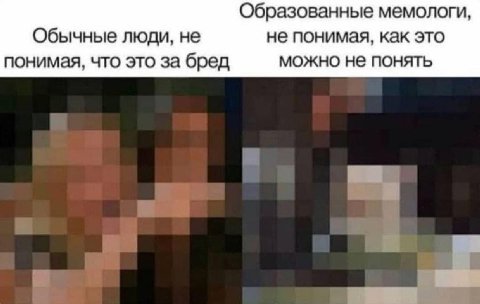 Образованные мемологи, Обычные люди, не не понимая, как это понимая, что это за бред можно не понять