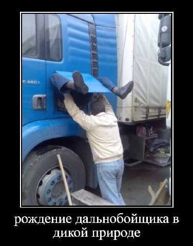 рождение дальнобойщика в дикой природе
