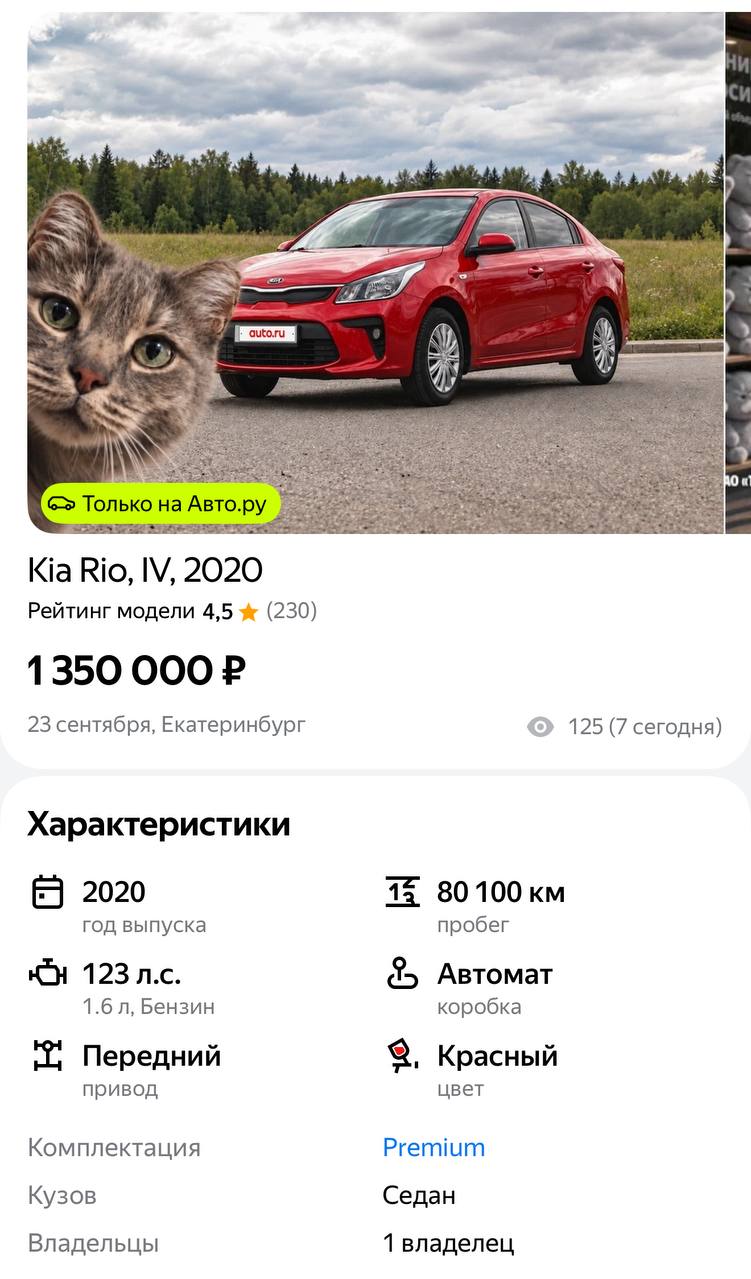 интернет: Барсик купил автомобиль в Т‑Банке.
Авто.ру: ну тогда старую машину семьи — в продажу.

Kia Rio 2020 года. Шерсть знаменитого пассажира на память. Кот остаётся в семье.

маркетинг с сюжетом.