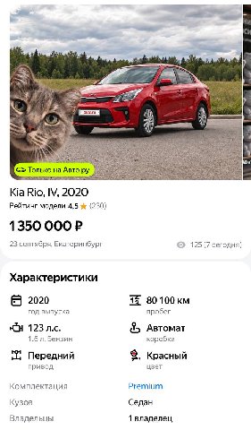 интернет: Барсик купил автомобиль в Т‑Банке.
Авто.ру: ну тогда старую машину семьи — в продажу.

Kia Rio 2020 года. Шерсть знаменитого пассажира на память. Кот остаётся в семье.

маркетинг с сюжетом.