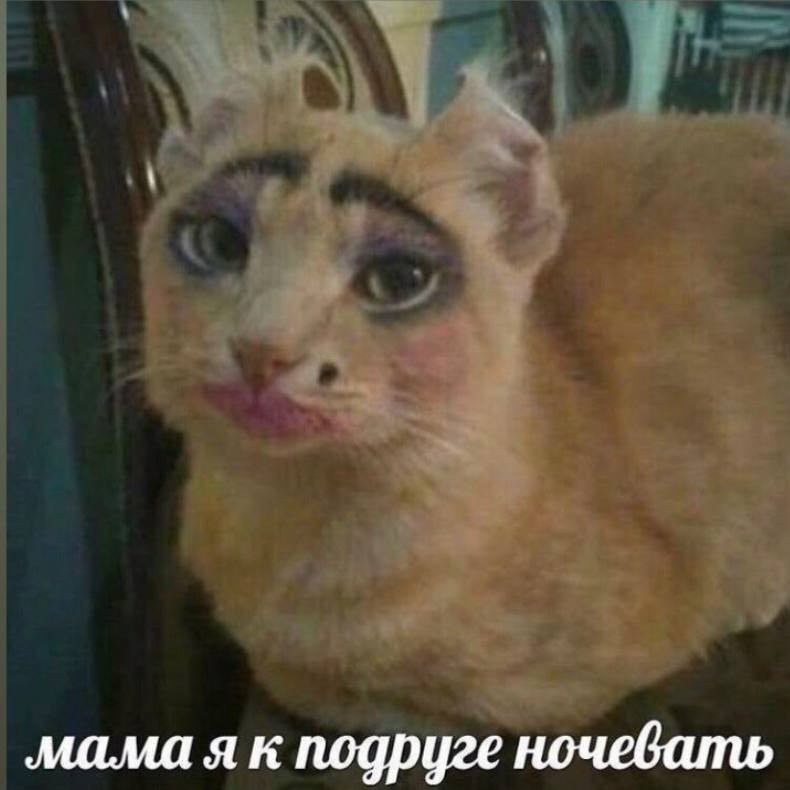 мама я к подруге ночевать