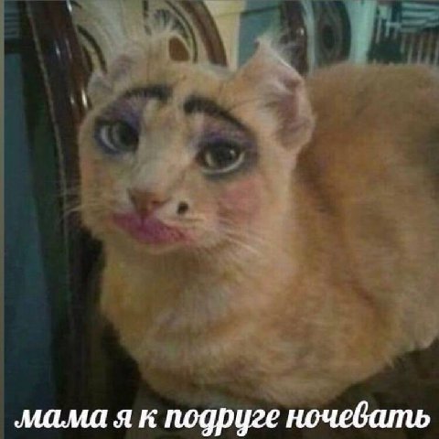 мама я к подруге ночевать