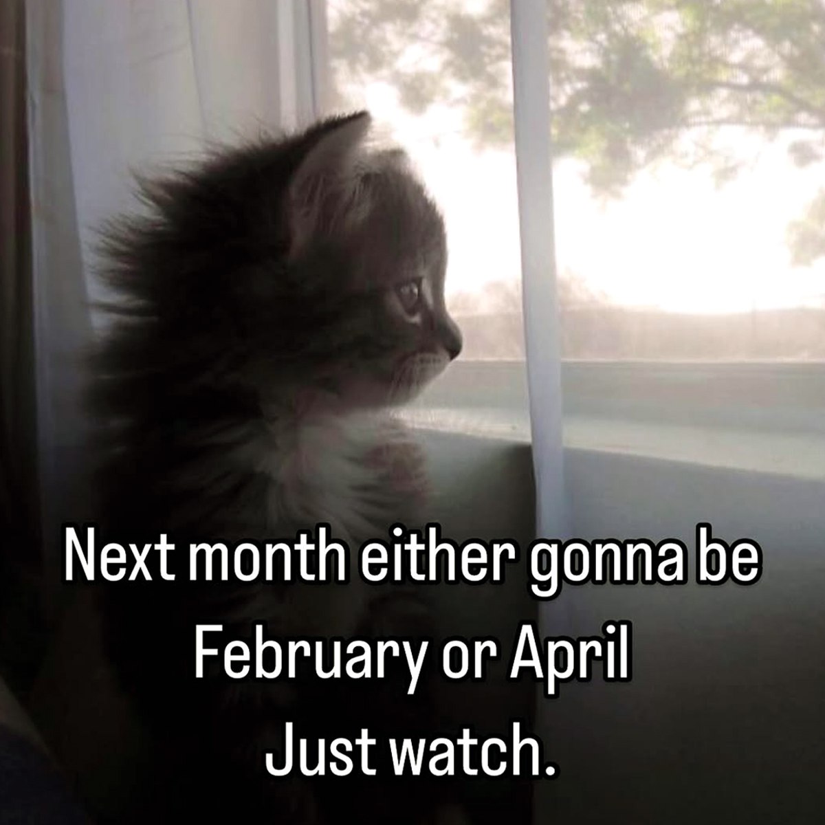 Next month either gonna be February or April Just watch.