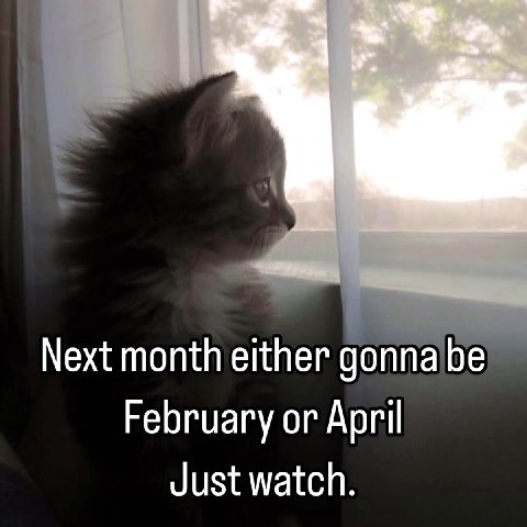Next month either gonna be February or April Just watch.