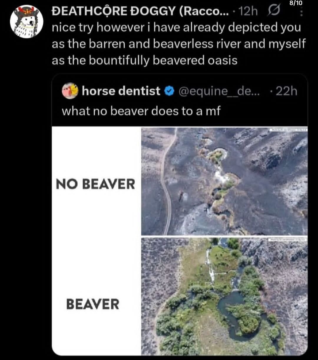810 РЕАТНСОВЕ DOGGY (Вассо... nice try however thave already depicted you as the barren and beaverless river and myself as the bountifully beavered oasis horse dentist beaver does to и a an BEAVER 5