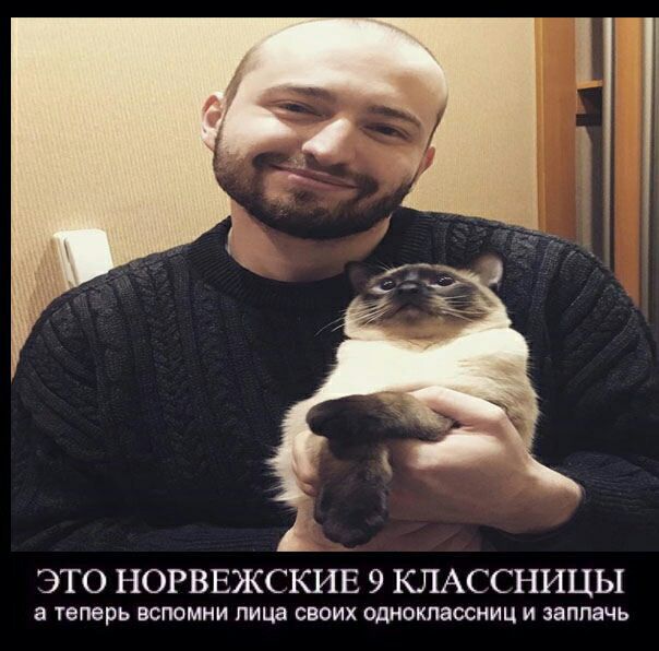 ЭТО НОРВЕЖСКИЕ 9 КЛАССНИЦЫ а теперь вспомни лица своих одноклассниц и заплачь