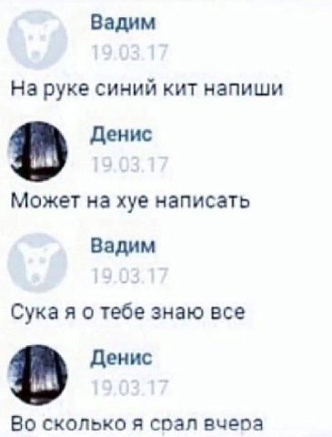 Вадим На руке синий кит напиши Денис Может на хуе написать Вадим Сука я о тебе знаю все Денис Во сколько я соал вчеоа