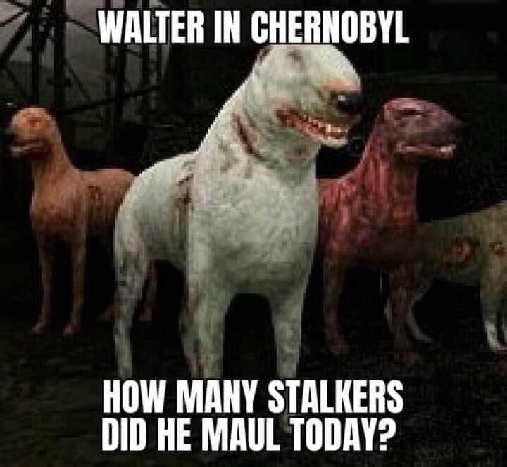 WALTER IN CHERNOBYL HOW MANY STALKERS DID HE MAUL TODAY?