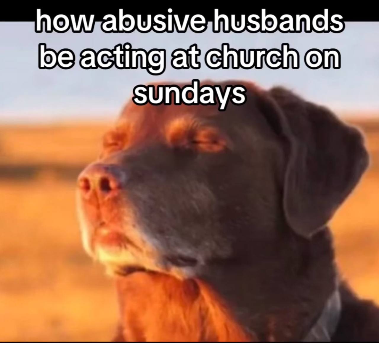 husbands sundays