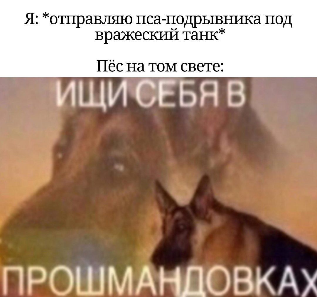 Я: *отправляю пса под ажеский Пёс на том свете: ИЩИСЕБЯВ ПРОШМАНДОВКАХ