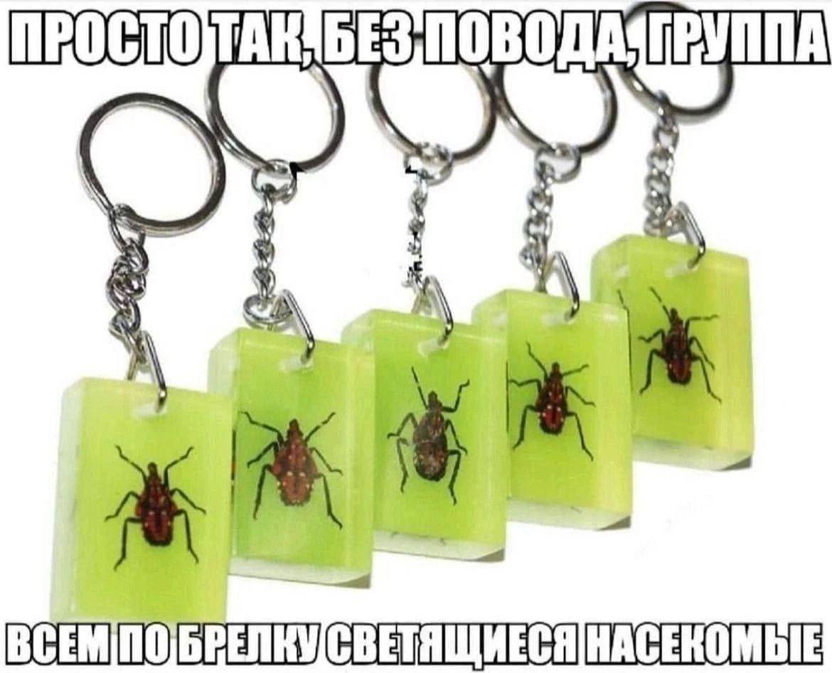 a НАСЕКОМЫЕ