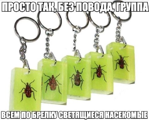 a НАСЕКОМЫЕ