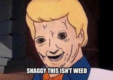 SHAGGY WEED