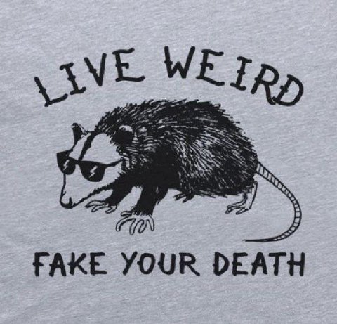 WE ERD i у as А FAKE YOUR DEATH