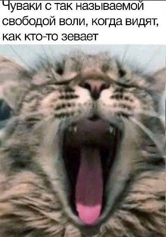 с так называемой свободой воли, когда видят, как кто-то зевает 4 4