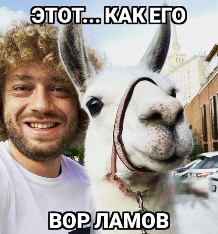 7% 4 4 As a we У а 9 ВОРЛАМОВ]