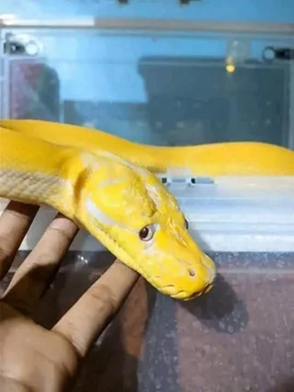 a A