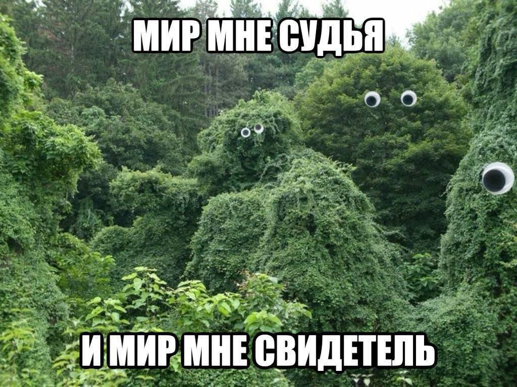 СУДЬЯ МНЕ СВИДЕТЕЛЬ