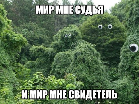 СУДЬЯ МНЕ СВИДЕТЕЛЬ