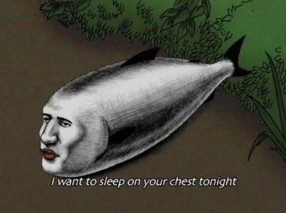 want to sleep on your chest tonight
