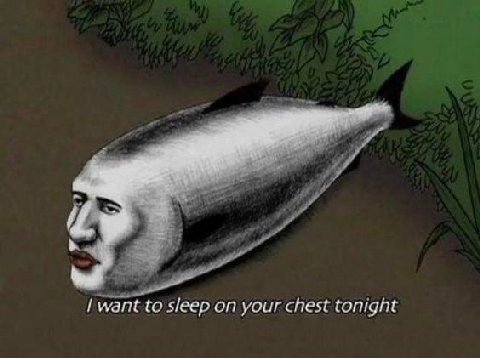 want to sleep on your chest tonight