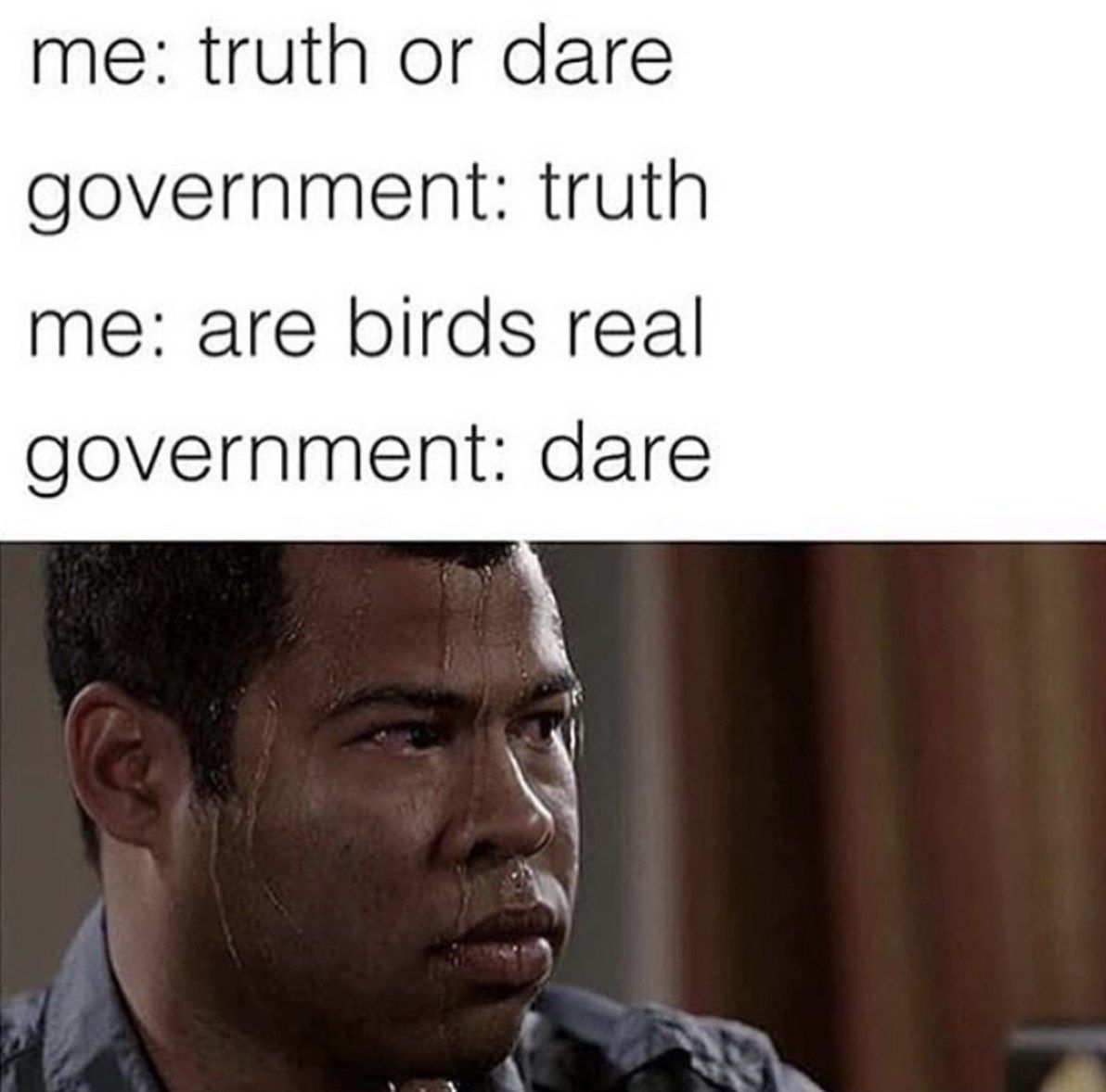 me: truth or dare government: truth me: are birds real government: dare