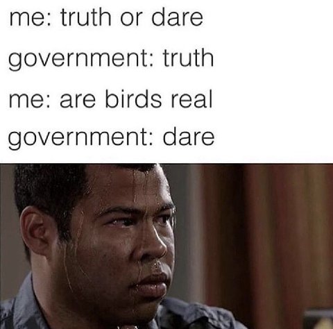 me: truth or dare government: truth me: are birds real government: dare