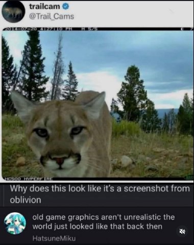 trailcam DTrail Cams 4:27:10 a я IRE Why does this look like it's a screenshot from oblivion old game graphics aren't unrealistic the world just looked like that back then HatsuneMiku