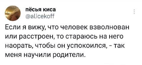 пёсья киса @alicekoff Если A вижу, что человек взволнован или расстроен, то стараюсь на него наорать, чтобы он успокоился, так меня научили родители.
