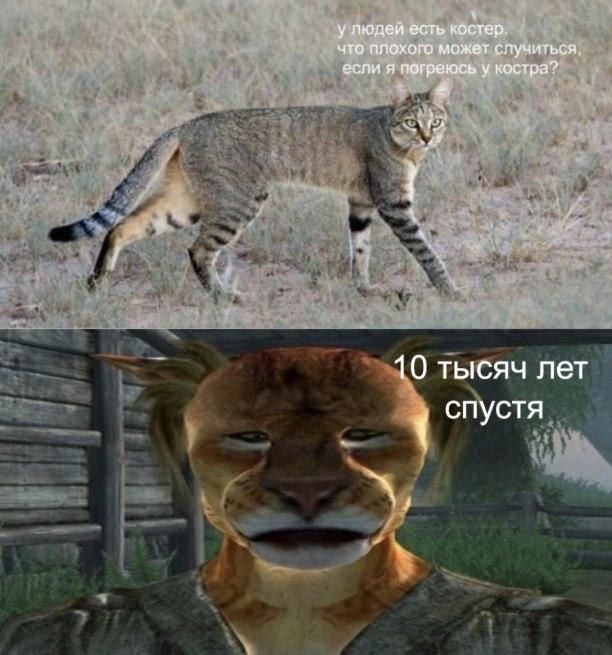 у людей есть костер. что плохого может случиться если я погреюсь у костра? 4 10 тысяч лет спустя