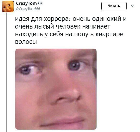 у @CrazyTom666 идея для хоррора: очень одинокий И очень лысый человек начинает находить у себя на полу в квартире ВОЛОСЫ