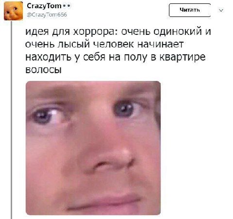 у @CrazyTom666 идея для хоррора: очень одинокий И очень лысый человек начинает находить у себя на полу в квартире ВОЛОСЫ