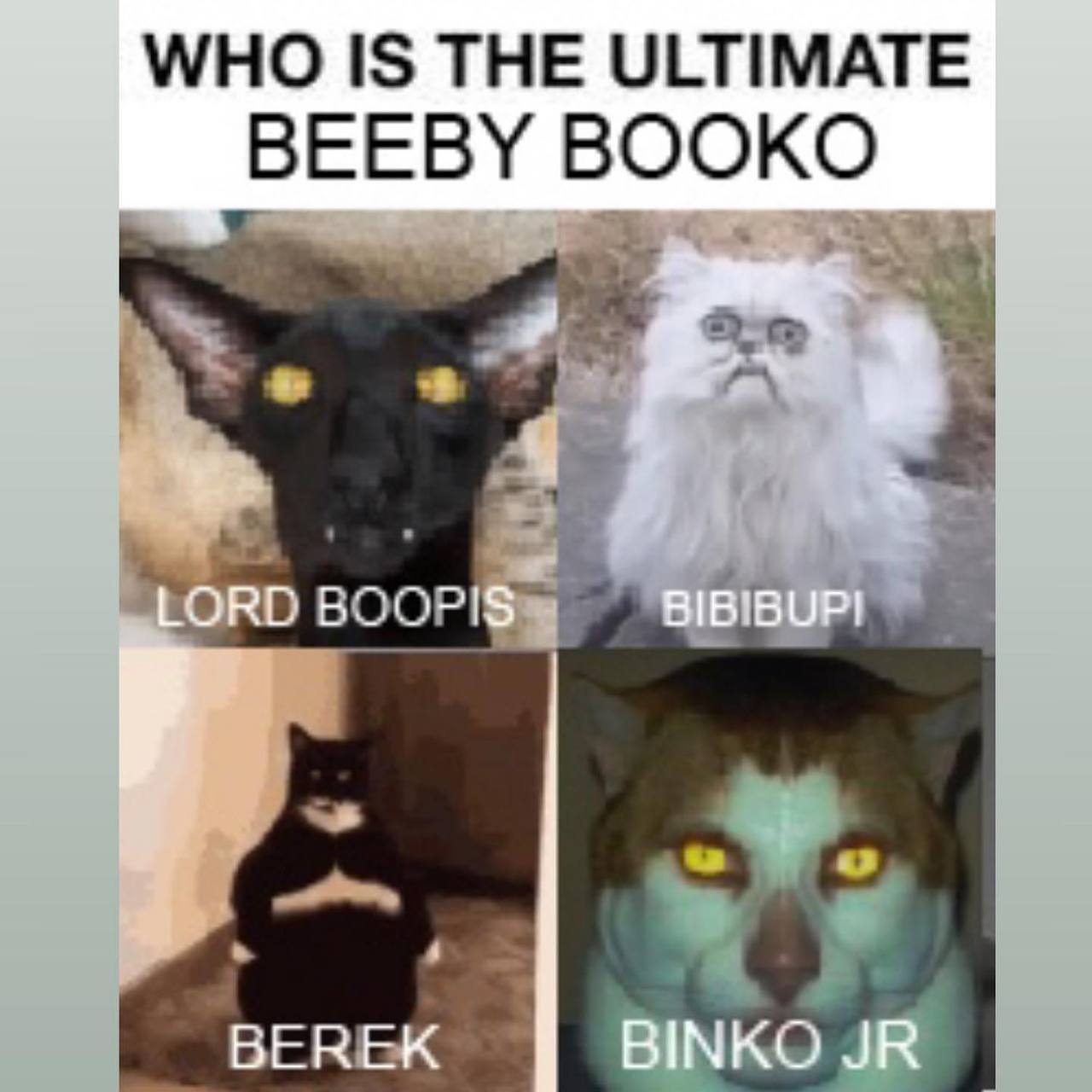 WHO IS THE ULTIMATE BEEBY BOOKO БЕКЕК