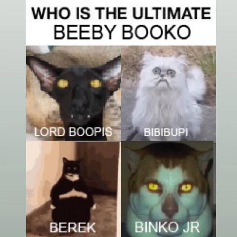WHO IS THE ULTIMATE BEEBY BOOKO БЕКЕК