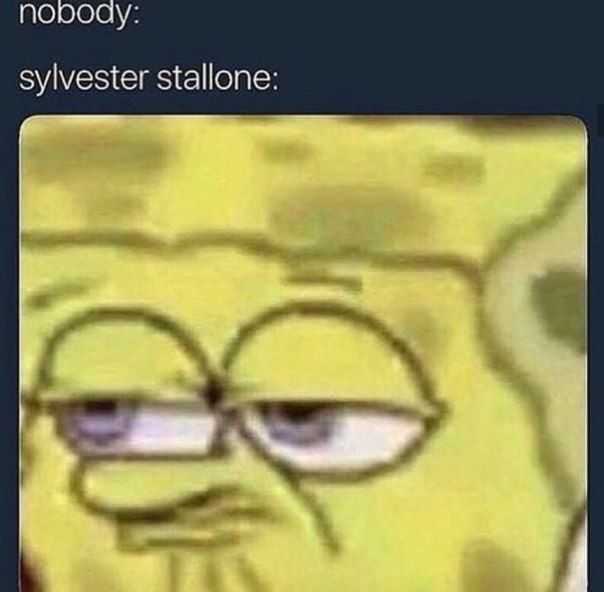 породу: sylvester stallone: