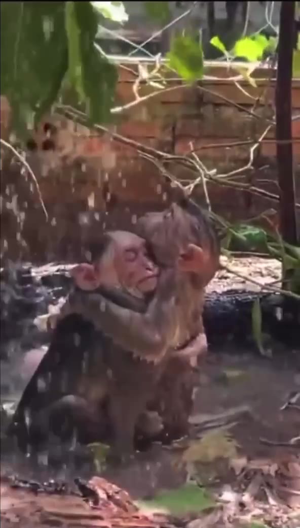 а