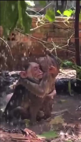 а