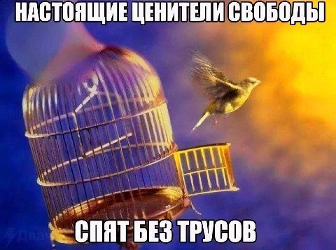 НАСТОЯЩИЕ ЦЕНИТЕЛИ СВОБОДЫ a3 CHAT БЕЗ ТРУСОВ