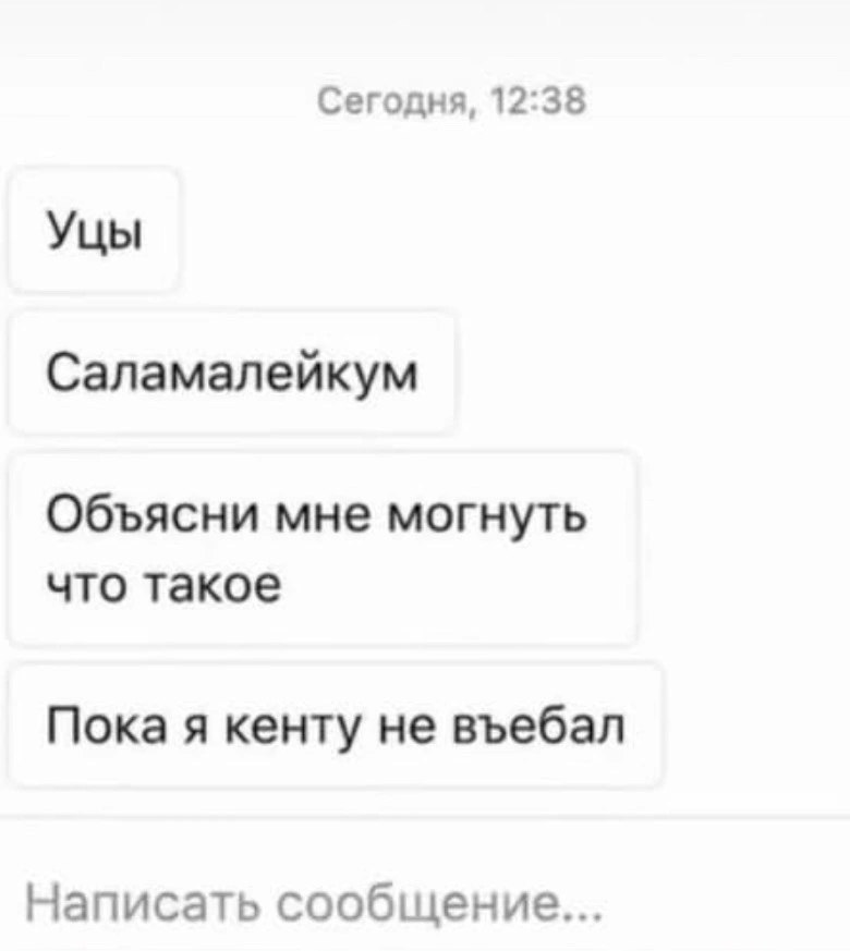 Сегодня, 12:38 Уцы Саламалейкум Объясни мне могнуть что такое Пока я кенту не въебал Написать сообщение...