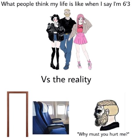 What people think life is like when say 6'3 the reality "Why must you hurt