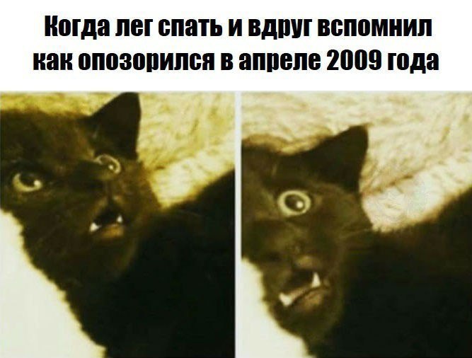 Когда лег спать и вдруг вспомнил как опозорился в апреле 2009 года