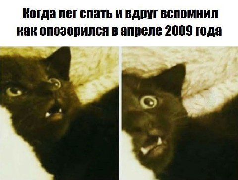 Когда лег спать и вдруг вспомнил как опозорился в апреле 2009 года