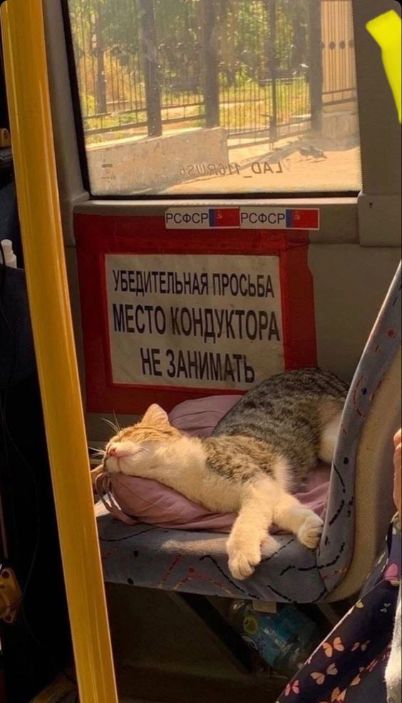 РСФСР